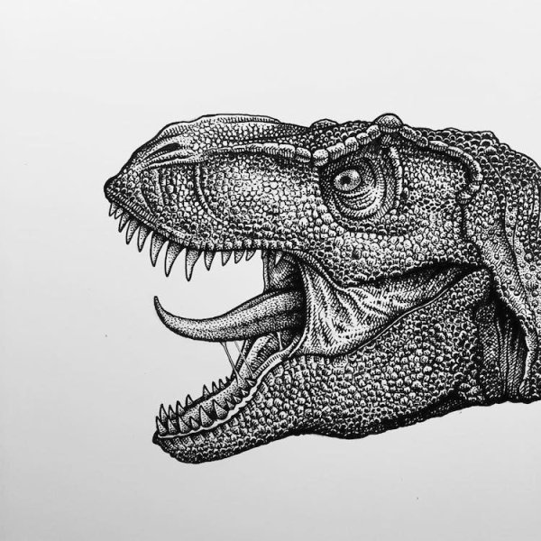 Динозавр черно белый
