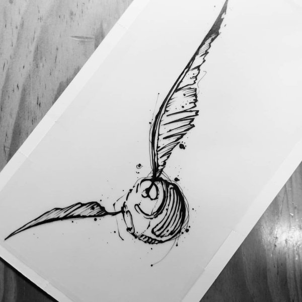 Снитч скетч