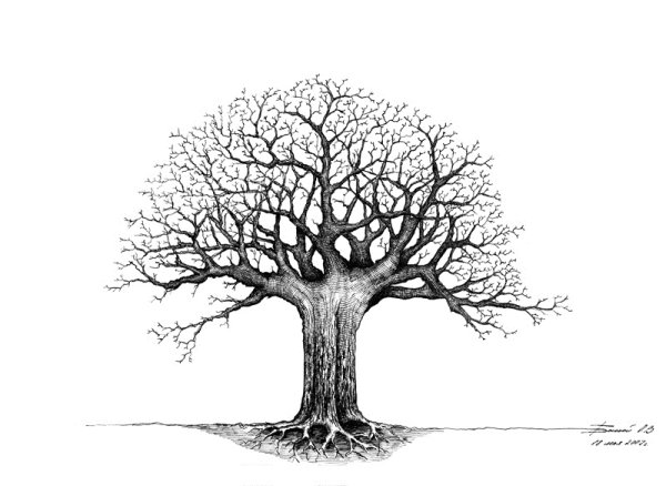 Как нарисовать березу