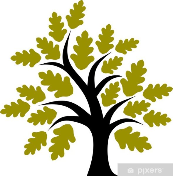 Раскраска листочки деревьев