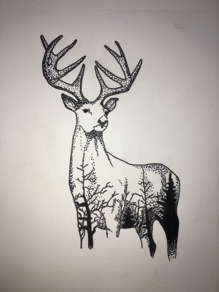 Олень черной ручкой