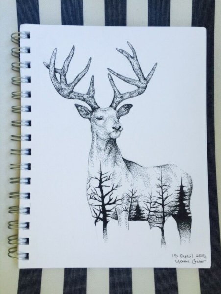 Красивые животные для скетчбука