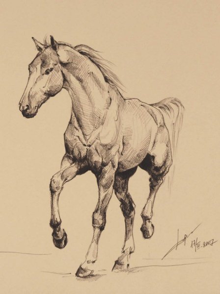 Конь Графика