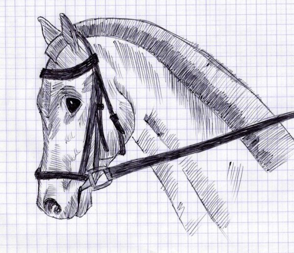 Лошадь гелевой ручкой