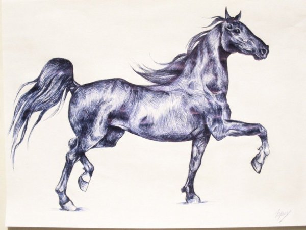 Лошадь гелевой ручкой