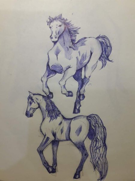 Конь рисунок ручкой