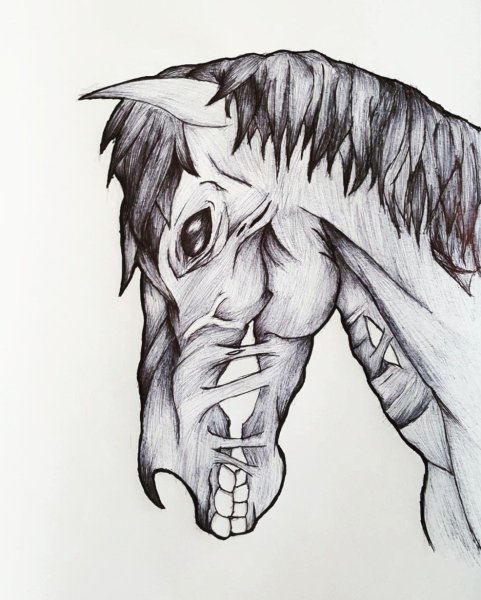 Рисунки синей ручкой лошади