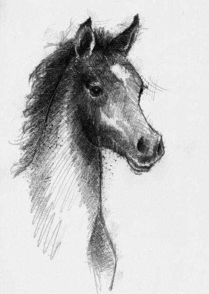Лошадь поэтапно ручкой