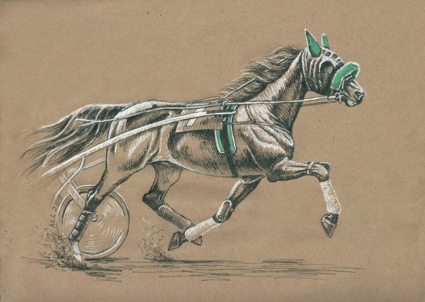 Графика гелевой ручкой лошадь