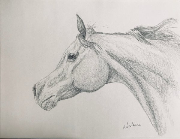 Лошадь гелевой ручкой