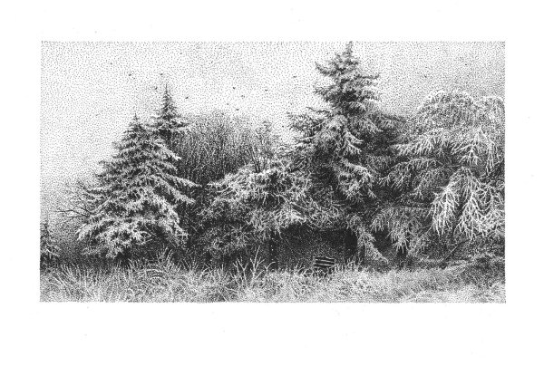 Пуантель Графика