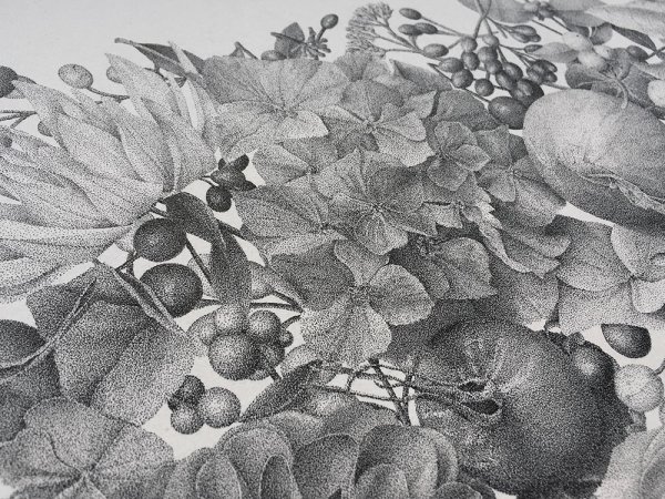 Художник Ксавье Касалта