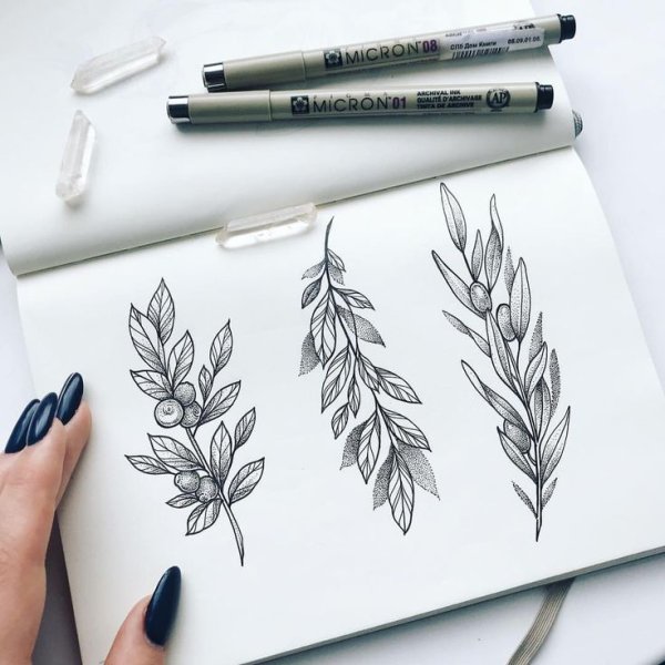 Тату ветка с листьями