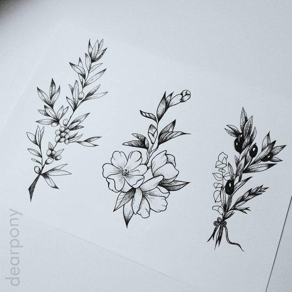 Сакура випшейдинг