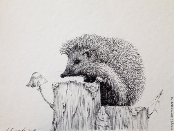 Ежик карандашом