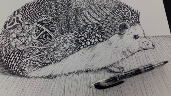 Белка дудлинг