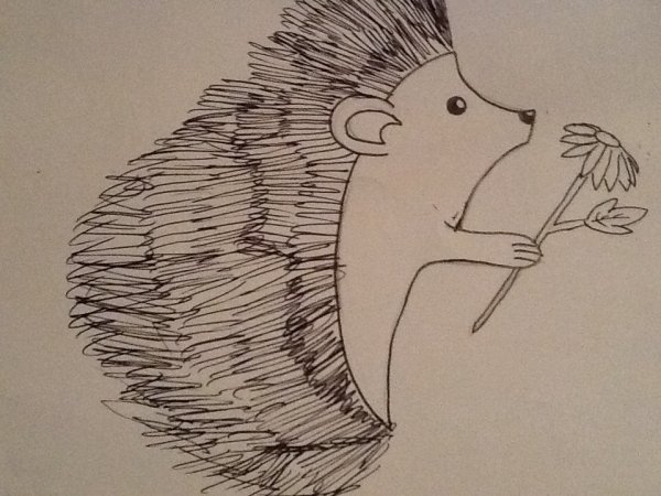 Ёжик линиями