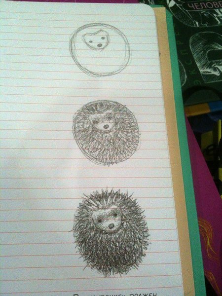 Ежик для ручек