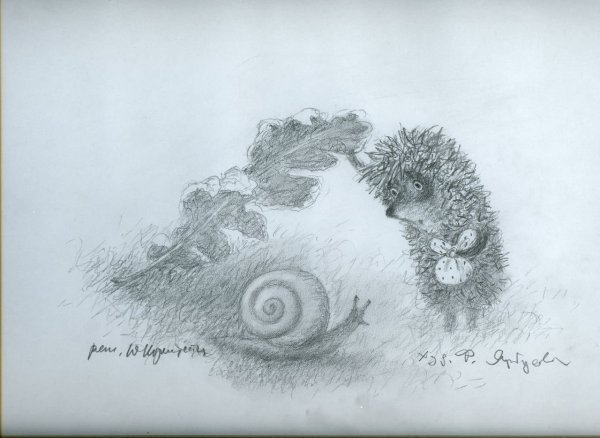 Набросок ежа