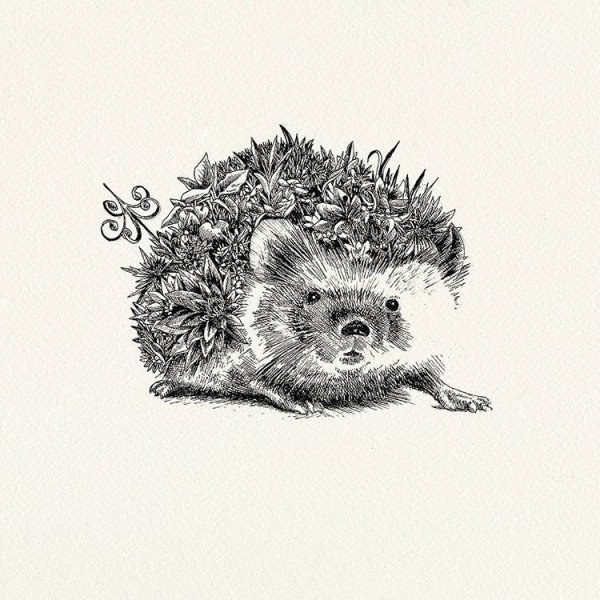 Ёжик красивый карандашом