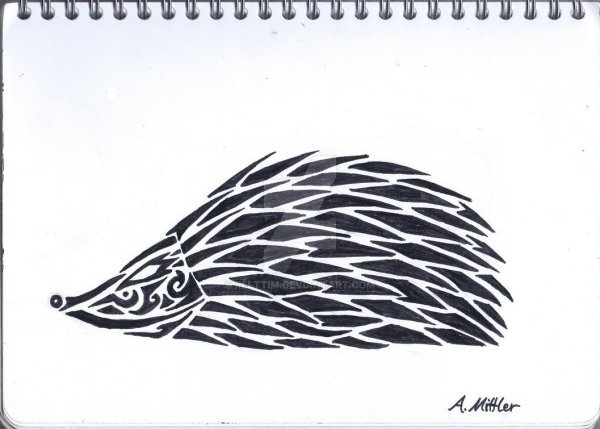 Рисунки ежей для срисовки