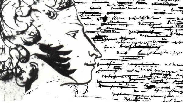 Александр Сергеевич Пушкин профиль