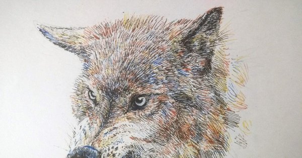 Волк черной гелевой ручкой