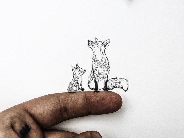 Лиса гелевой ручкой