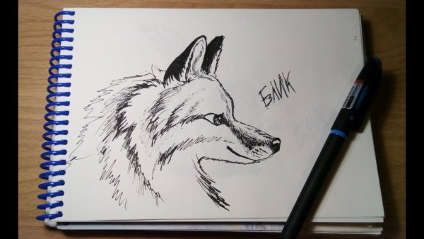 Лиса ручкой легко