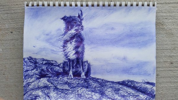 Ручка для рисования