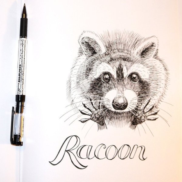 Ручка с енотом