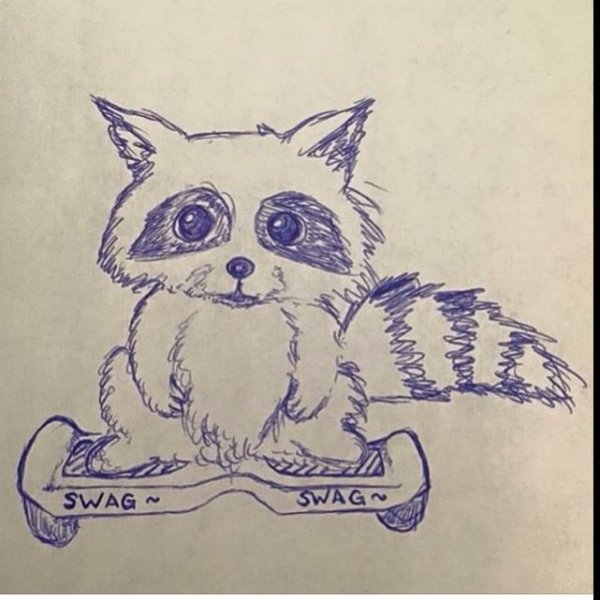 Нарисовать енота ручкой