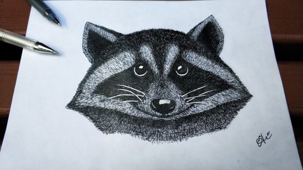 Рисунок гелевой ручкой ненот