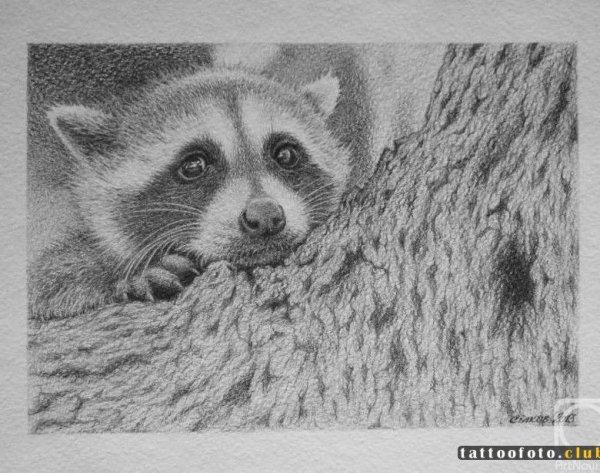 Ручка с енотом