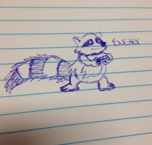 Красивые рисуночки ручкой маленькие енота