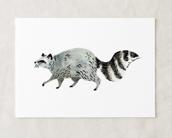 Стилизованный енот