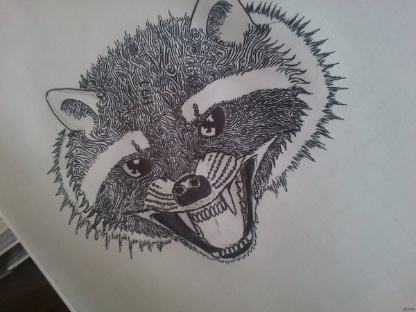 Енот гелевой ручкой