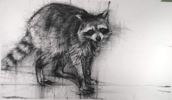 Зарисовки животных углем