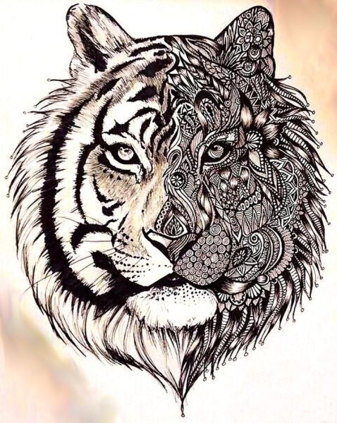 Зентангл тигр