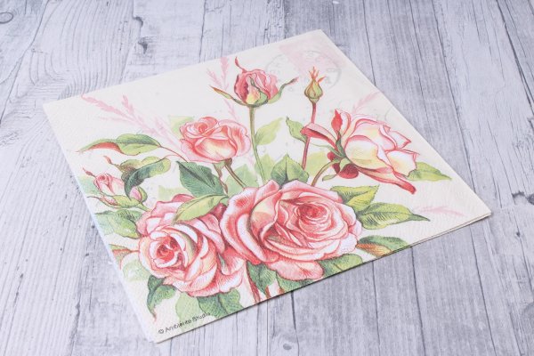 Зарисовки на салфетке