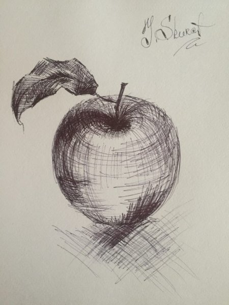 Яблоко набросок