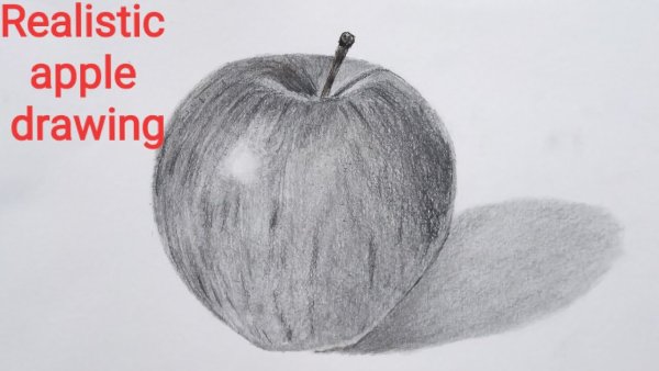 Sketch Apple realistically