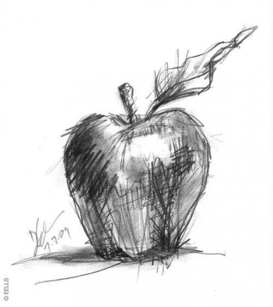 Набросок яблока карандашом