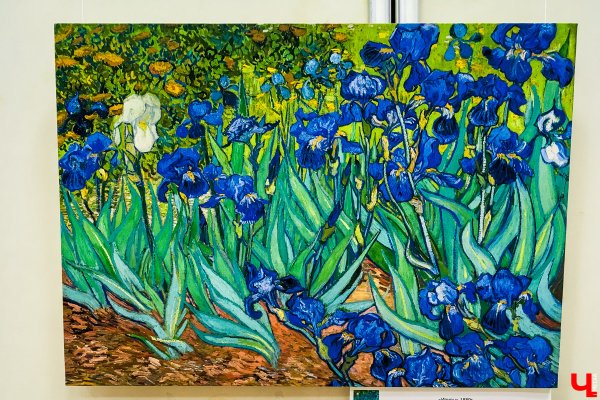 Винсент Ван Гог луковичные поля