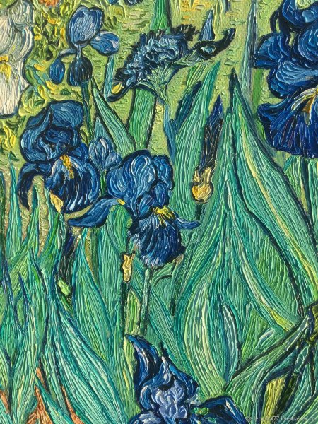Ван Гог ирисы 1889