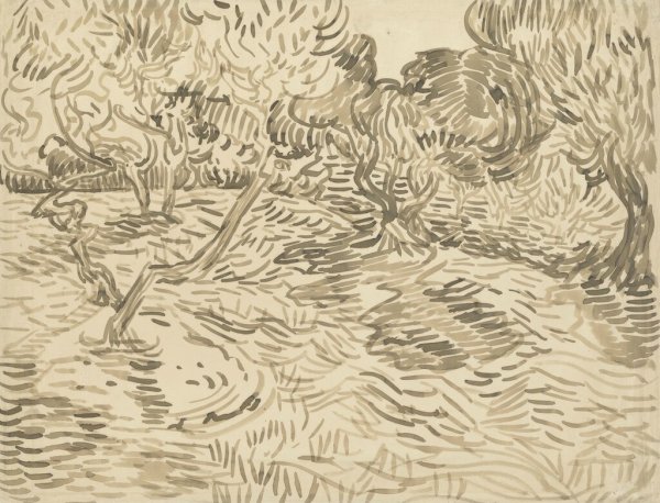 Olive Grove Винсент Ван Гог June 1889