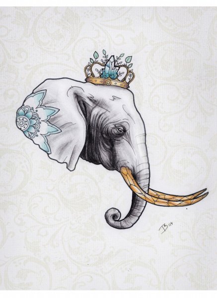Голова слона с узорами