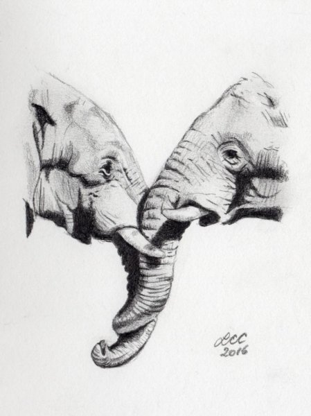 Слоник скетч