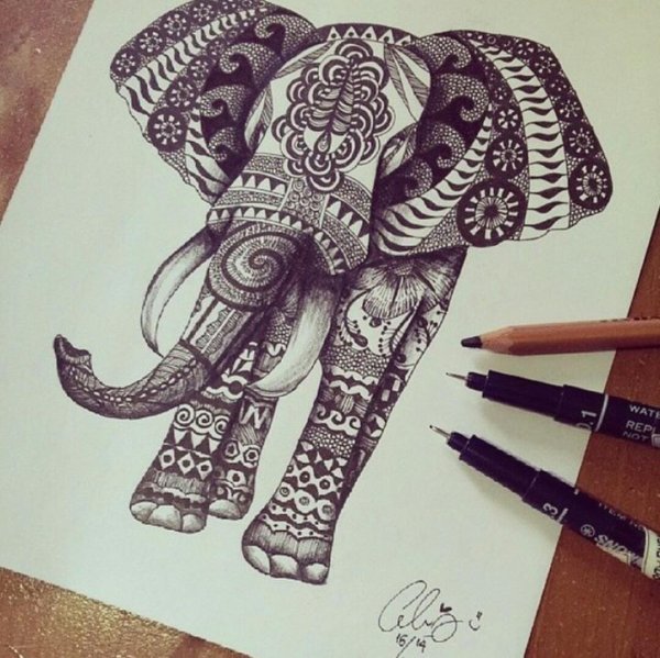 Слон зенарт