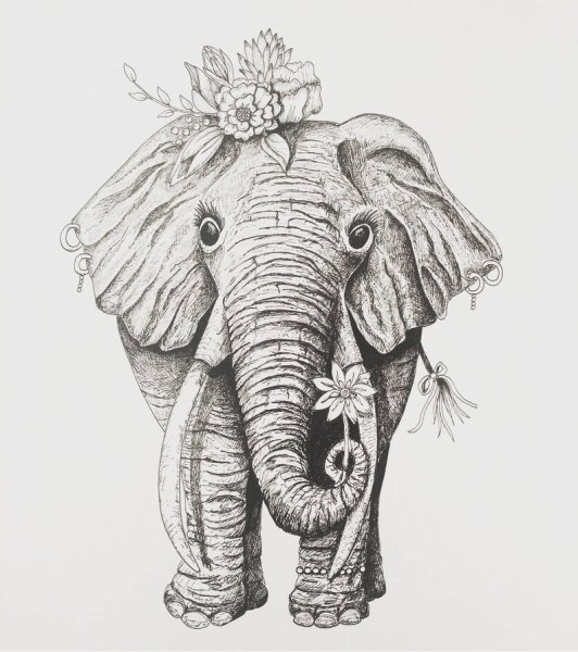Слон эскиз